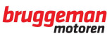 Bruggeman-Motoren