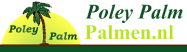 PoleyPalm